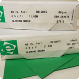 Letter Size Bright